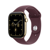 Apple Watch Series 12 GPS + Cellular, cassa 46 mm in titanio color oro brillante con cinturino Sport borgogna - M/L