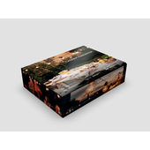 Joia Home 57121 decorazione per feste Ghirlanda