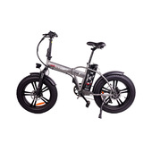 TEKLIO TF2GREY bicicletta elettrica Grigio Acciaio 20 50,8 cm (20") 31 kg