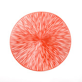 Mercury 59611 sottobicchiere PVC 1 Rotondo