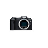 Canon EOS R8 + RF 24-50mm F4.5-6.3 IS STM Kit MILC 24,2 MP CMOS 6000 x 4000 Pixel Nero