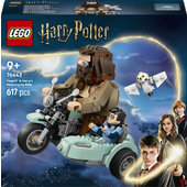 LEGO Harry Potter Giro sul Sidecar di Hagrid e Harry, Moto Giocattolo con Sidecar e Edvige, Idea Regalo di Compleanno 9+ Anni