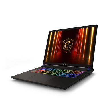 MSI Vector 17 HX AI A2XWHG-049IT Intel Core Ultra 9 275HX Computer portatile 43,2 cm (17") Quad HD+ 32 GB DDR5-SDRAM 1 TB SSD NVIDIA GeForce RTX 5070 Ti Wi-Fi 7 (802.11be) Windows 11 Home Grigio