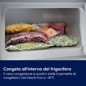 Electrolux Frigorifero Armadio Frigocongelatore Statico Classe E EFB3AE10S1