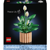 LEGO Botanicals 11504 Spatifillo, Pianta Artificiale con Vaso, Fiori Bianchi Finti e Boccioli, Regalo Fai da Te per Donne