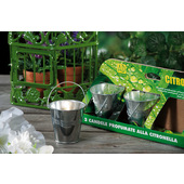 STAR S/3 Candele Citronella
