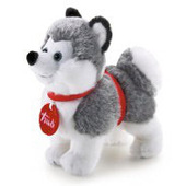 Trudi Husky