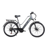 EMG E-Bike Queen Citybike 26" 10Ah Batteria integrata Antracite