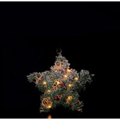 STAR 70899 illuminazione decorativa Figura luminosa decorativa 20 lampadina(e) LED