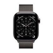 Apple Loop in maglia milanese ardesia (42 mm)