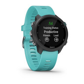 Garmin Forerunner 245 Music 3,05 cm (1.2") MIP 30 mm Digitale 240 x 240 Pixel Wi-Fi GPS (satellitare)