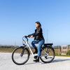 Miniatura prodotto E-bike Vintage con telaio in alluminio 19", ruote 28", motore centrale 250W Ananda, batteria 13AH e cambio Shimano