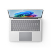 Miniatura prodotto Microsoft Surface Laptop - Copilot+ PC - 13,8'' touchscreen - Snapdragon X Plus - 16GB RAM - 256GB SSD - Device only - Platinum