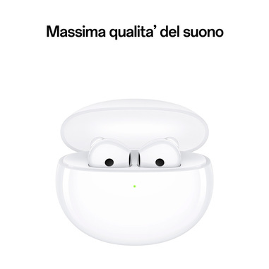 Foto 4 su 6 del prodotto