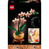 Miniatura prodotto Mini-orchidea