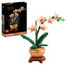 Miniatura prodotto Mini-orchidea