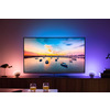 Miniatura prodotto Philips Hue White and Color Ambiance Go Lampada Smart da Tavolo portatile