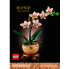 Miniatura prodotto Mini-orchidea