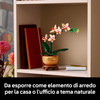 Miniatura prodotto Mini-orchidea
