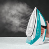 Miniatura prodotto Vaporella Quick & Slide QS210