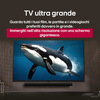 Miniatura prodotto 55NANO81A6A TV NanoCell AI Serie NANO81 55'' 4K, α7 Gen8, HDR10, 20W, 3 HDMI con Game Optimizer, Smart TV WebOS 25