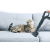 Miniatura prodotto Hoover H-POWER 700, Aspirapolvere a traino, 2L, 850W, Senza sacchetto