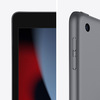 Miniatura prodotto iPad, 10.2" LED, 2160 x 1620, A13 Bionic, 256GB, 802.11ac Wi-Fi 5, Bluetooth 4.2, Touch ID, 8MP + 12MP, iPadOS