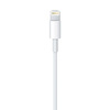 Miniatura prodotto Cavo da lightning a USB 2mt