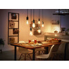 Miniatura prodotto Philips Hue White Filament Lampadina Smart E27 40 W