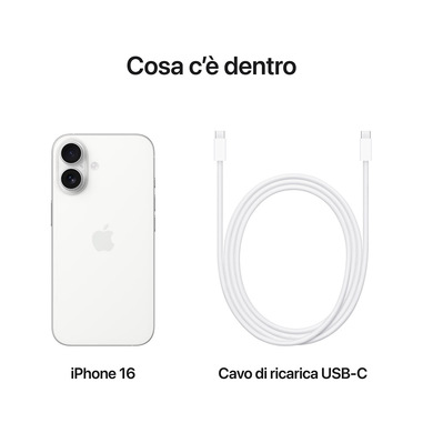 Foto 10 su 11 del prodotto