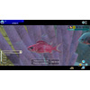 Miniatura prodotto Endless Ocean Luminous + 7 giorni di NSO