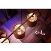 Miniatura prodotto Philips Hue White Lampadina Smart E14 40 W