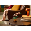 Miniatura prodotto Mini-orchidea