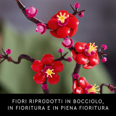 Foto 40 su 42 del prodotto