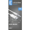 Miniatura prodotto AUX MUSIC CABLE TYPE-C Cavo audio da 3.5mm con connettore USB-C