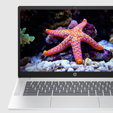 HP OmniBook X 14-fe1000ns Qualcomm Snapdragon - Foto 2