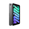 Miniatura prodotto iPad mini Wi-Fi + Cellular 128GB - Grigio Siderale