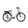 Miniatura prodotto E-bike Vintage con telaio in alluminio 19", ruote 28", motore centrale 250W Ananda, batteria 13AH e cambio Shimano