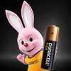 Miniatura prodotto Duracell Plus 100 AA B16 x10