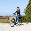 Miniatura prodotto E-bike Vintage con telaio in alluminio 19", ruote 28", motore centrale 250W Ananda, batteria 13AH e cambio Shimano