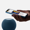 Miniatura prodotto HomePod mini - Giallo