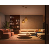 Miniatura prodotto Philips Hue White Ambiance Lampadina Smart E27 75 W