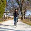 Miniatura prodotto E-bike Vintage con telaio in alluminio 19", ruote 28", motore centrale 250W Ananda, batteria 13AH e cambio Shimano