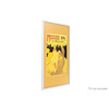 Miniatura prodotto VG-SCFT32WT/XC