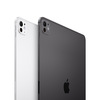 Miniatura prodotto iPad Pro 13'' Wi-Fi + Cellular 512GB Standard glass - Argento