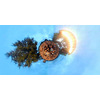 Miniatura prodotto GoXtreme Omni 360°