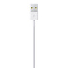 Miniatura prodotto Cavo da lightning a USB 2mt
