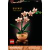 Miniatura prodotto Mini-orchidea