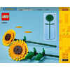 Miniatura prodotto Girasoli