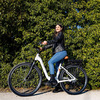 Miniatura prodotto E-bike Vintage con telaio in alluminio 19", ruote 28", motore centrale 250W Ananda, batteria 13AH e cambio Shimano